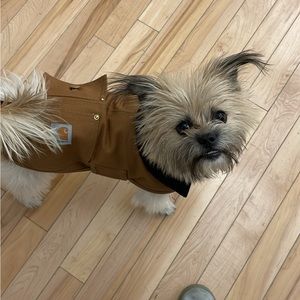 Meet your Posher, Suguru